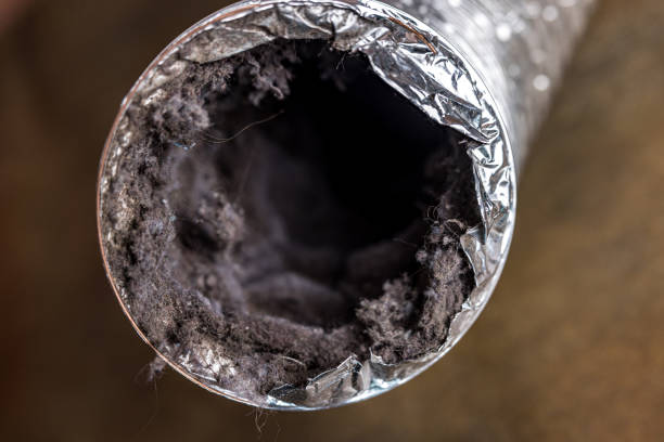 Best Home Air Vent Cleaning  in Guin, AL